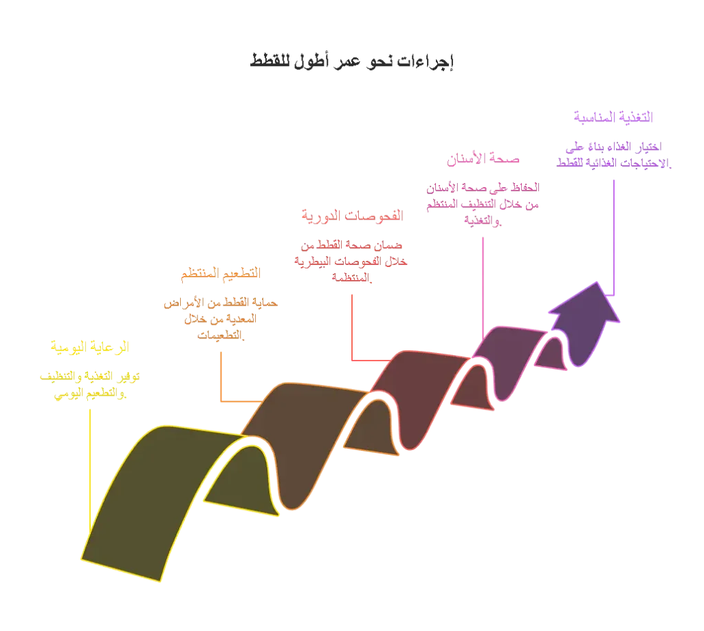الرعاية الصحية الواجب تقديمها للقطط لإطالة عمرها