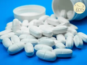 تسمم القطط بالأسيتامينوفين