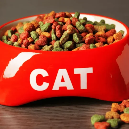 أفضل أنواع الدراي فود