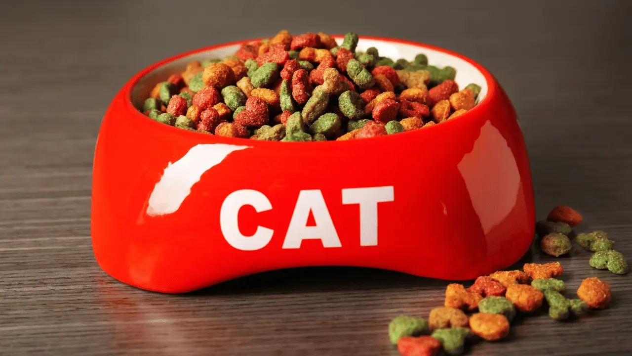 أفضل أنواع الدراي فود