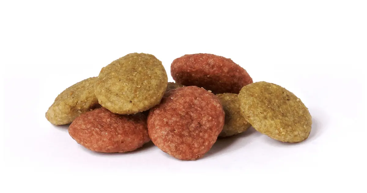 انواع دراي فود القطط