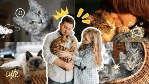 تربية القطط في المنزل