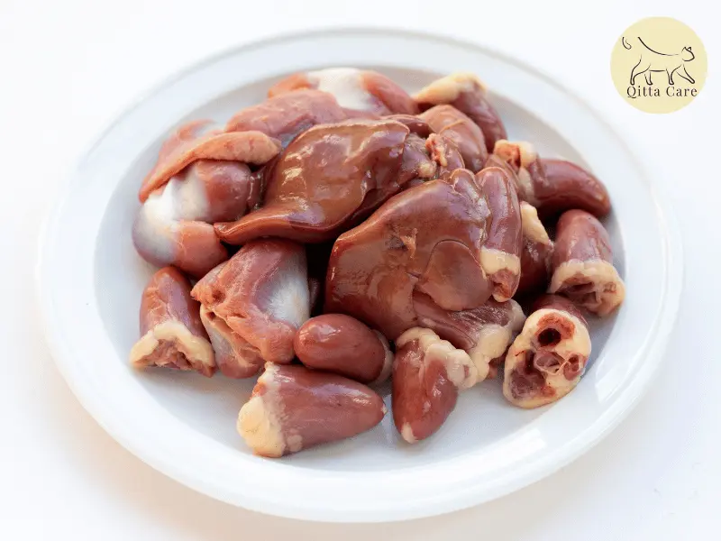 الأحشاء النيئة الصالحة لأكل القطط