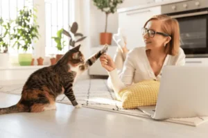 صفات القطط الاليفة