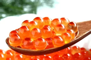 زيت السلمون للقطط