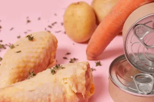 وجبات طعام منزلية للقطط