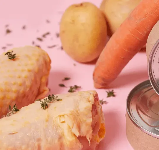 وجبات طعام منزلية للقطط