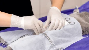 اخصاء القطط