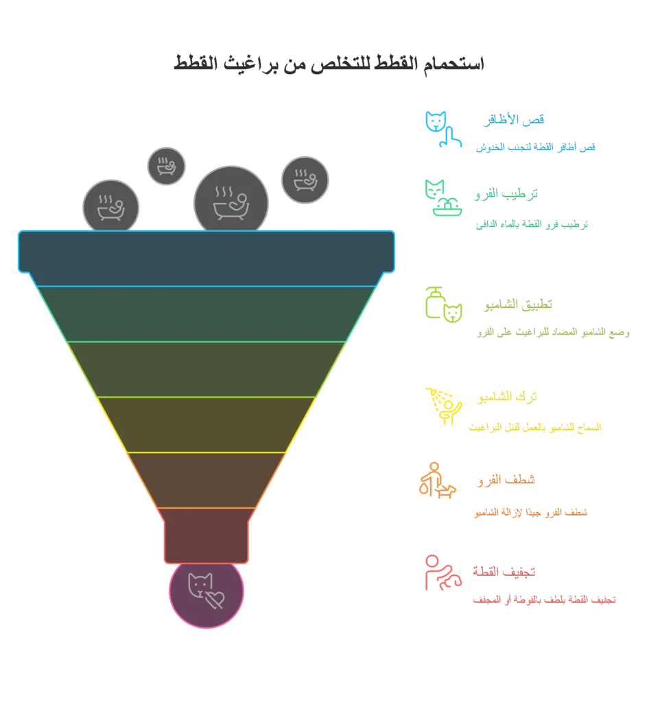  استحمام القطط للتخلص من براغيث القطط