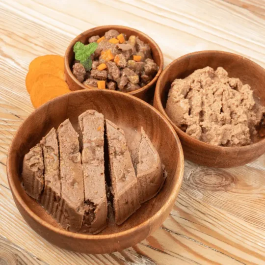 طعام القطط الرطب