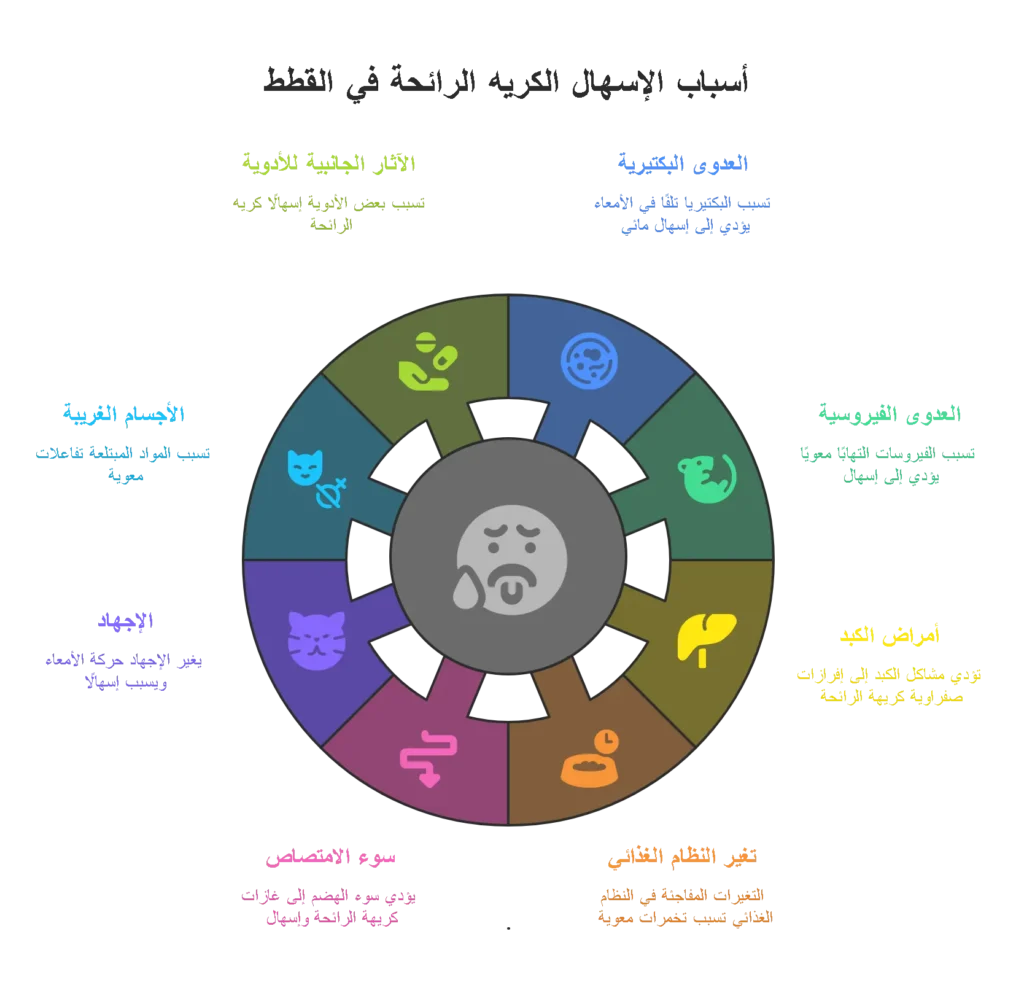 اسباب إسهال القطط مع رائحة كريهة
