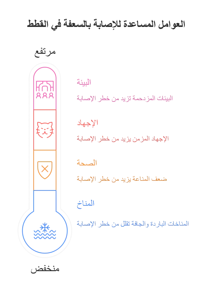 العوامل المساعدة للإصابة بالسعفة في القطط