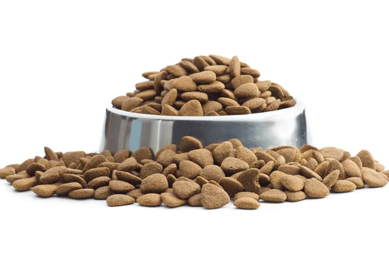 الاكل الجاف للقطط