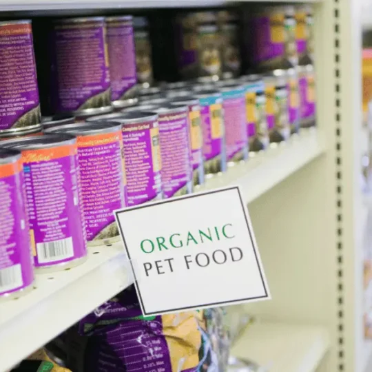 افضل اكل للقطط