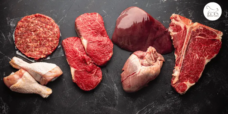 اكل القطط الخام