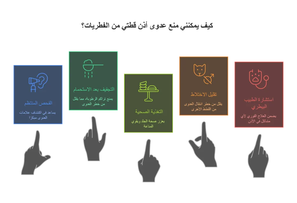 الوقاية من فطريات الأذن عند القطط