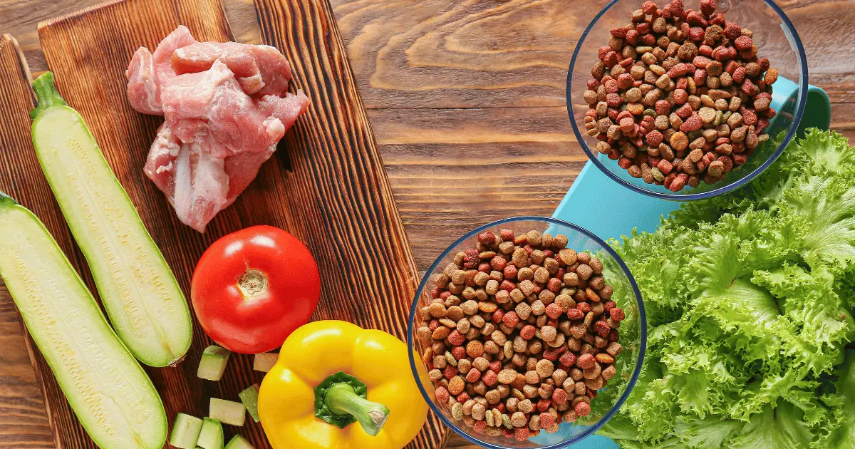 انواع اكل القطط