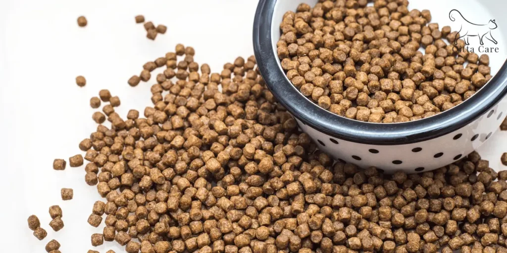 دراي فود للقطط الصغيرة