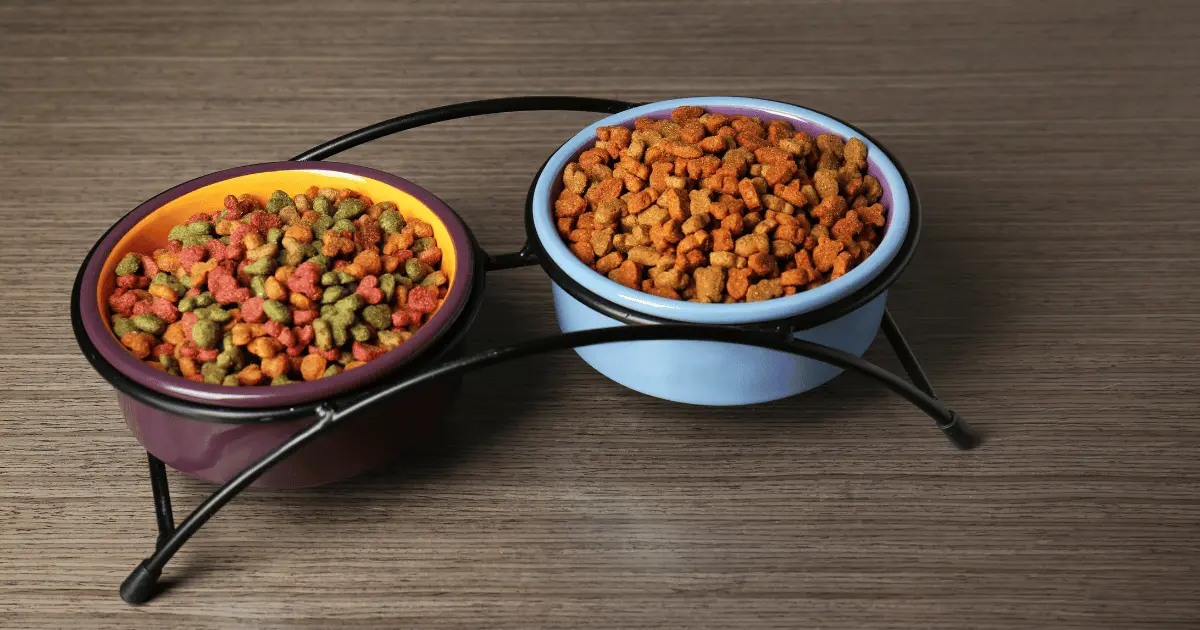 طريقة تقديم الدراي فود للقطط الصغيرة