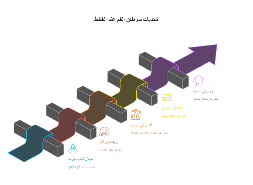 عواقب سرطان الفم عند القطط