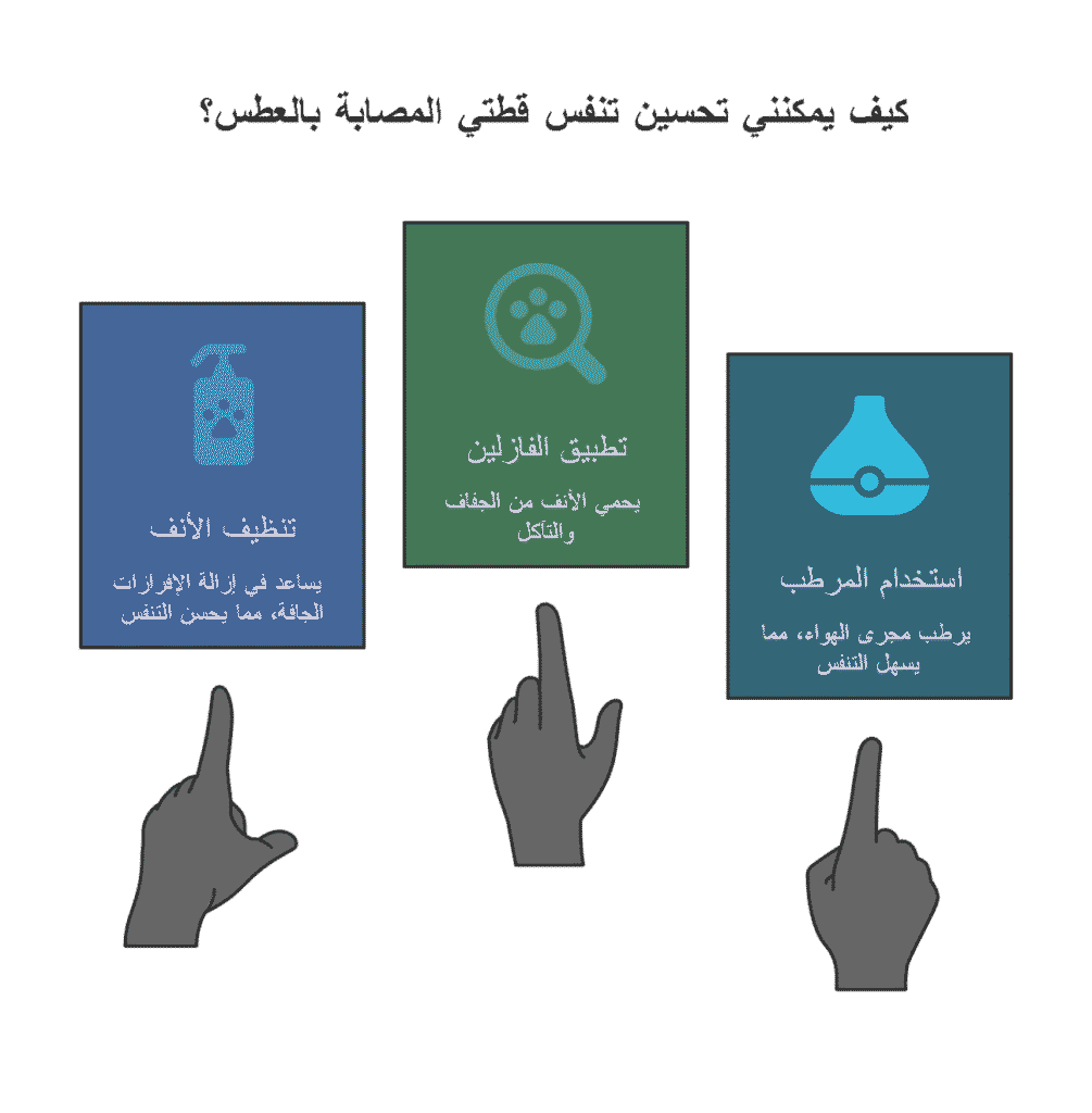 تحسين التنفس عند القطط المصابة بالعطس