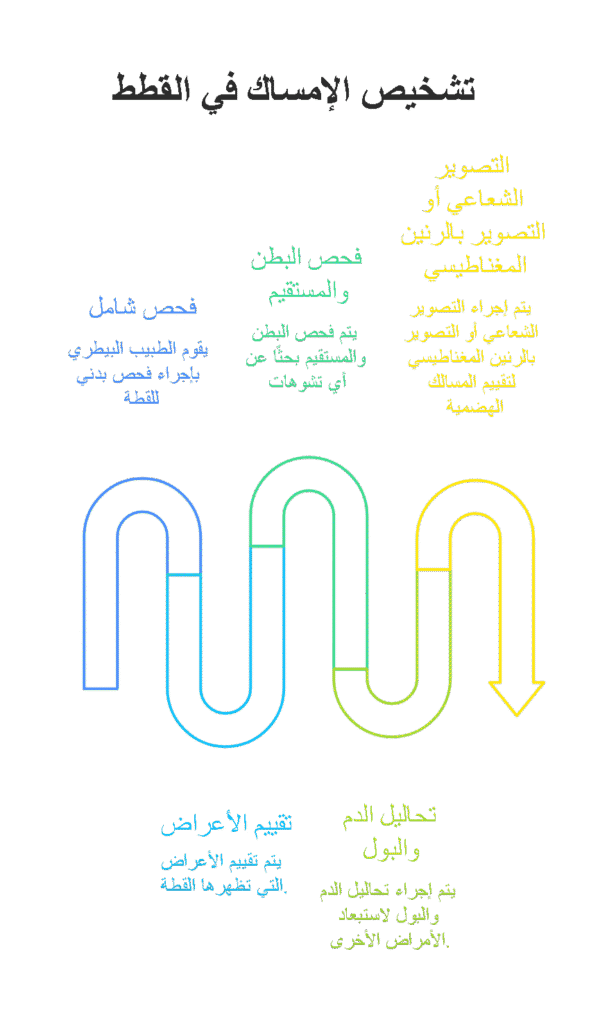 تشخيص الإمساك في القطط
