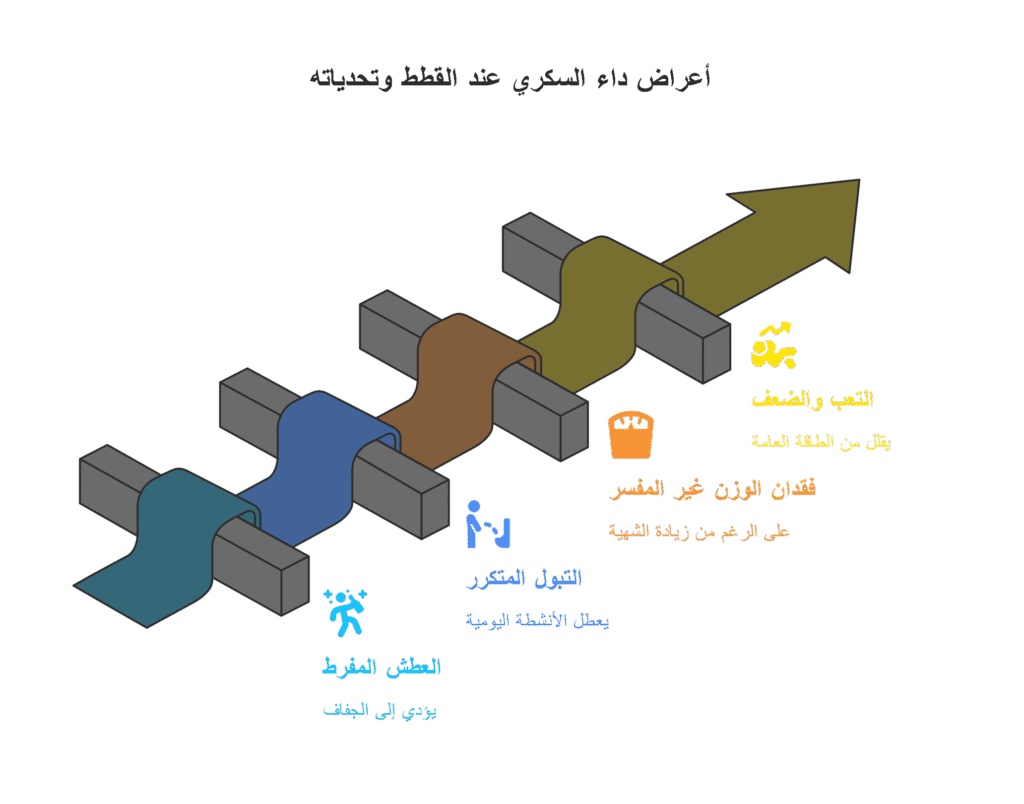اعراض داء السكري عند القطط