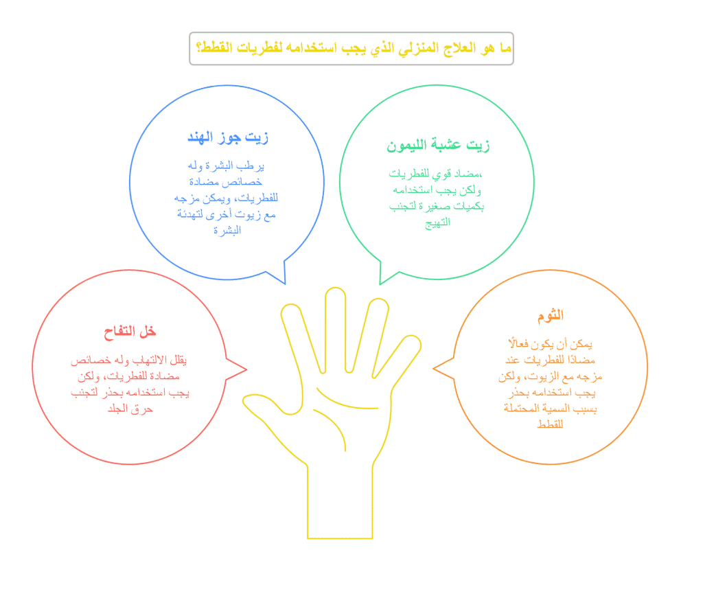 العلاجات المنزلية البديلة لفطريات القطط