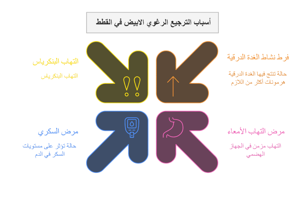الأسباب الشائعة لترجيع القطط رغاوي بيضاء عند القطط