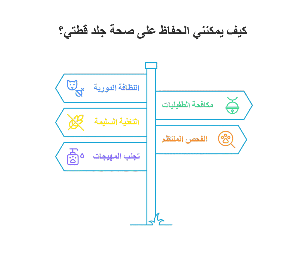 كيفية الحفاظ على صحة جلد القطط