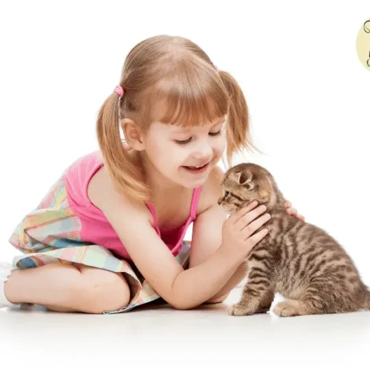 لعب الاطفال مع القطط