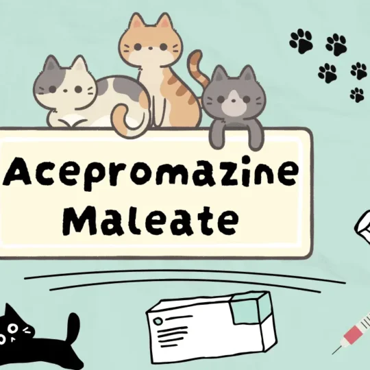 الأسيبروامزين مالات للقطط