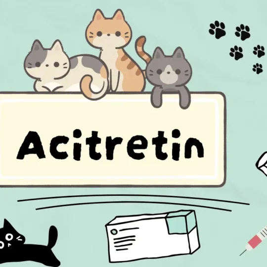 دواء لعلاج اضطرابات الجلد المزمنة عند القطط