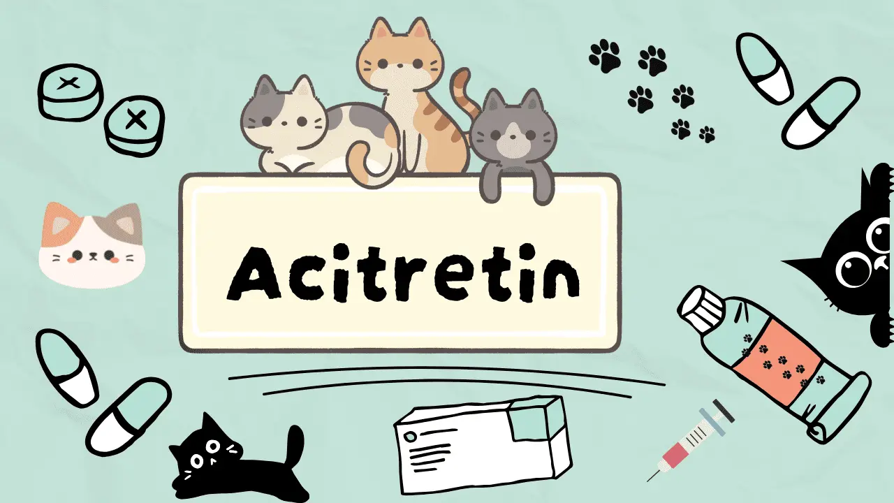 دواء لعلاج اضطرابات الجلد المزمنة عند القطط