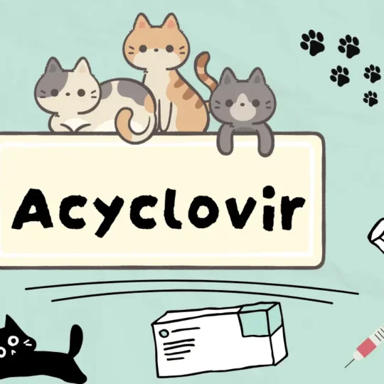 دواء أغلِبريستون لعلاج الالتهابات الرحمية عند القطط