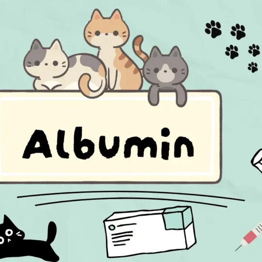 دواء لعلاج انخفاض ضغط الدم عند القطط