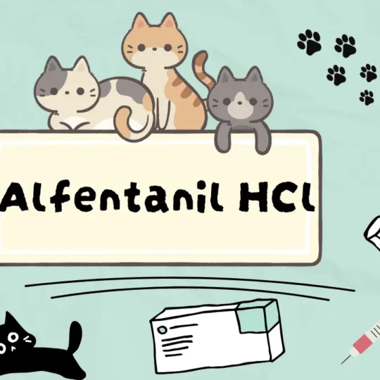 دواء لتخفيف الألم عند القطط