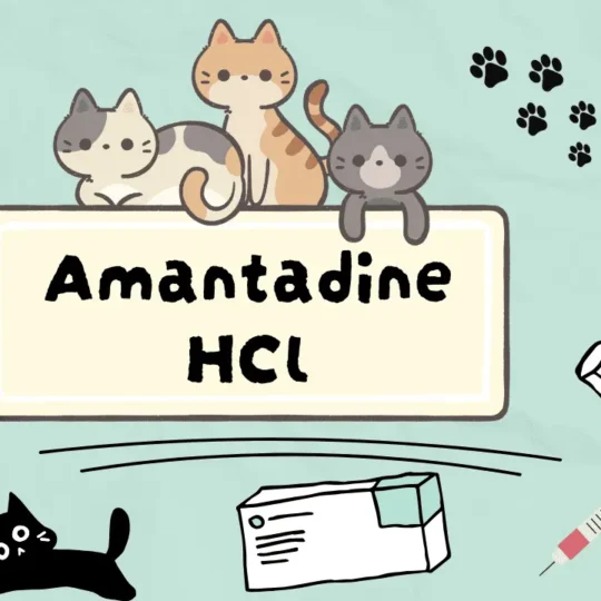 دواء لتسكين الالم عند القطط