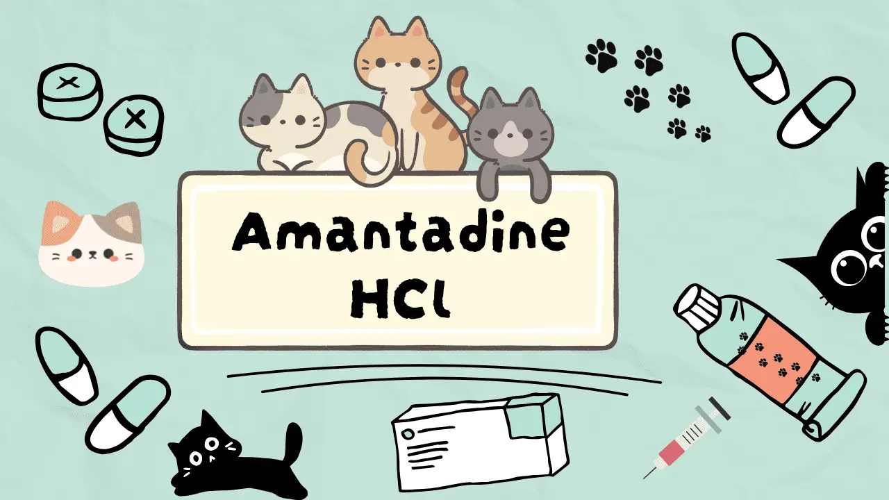 دواء لتسكين الالم عند القطط