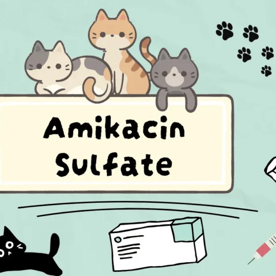 دواء لعلاج العدوى البكتيرية الشديدة للقطط