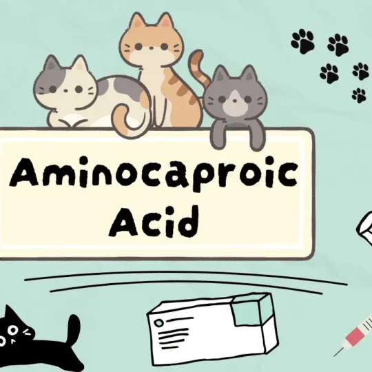 دواء للتحكم في النزيف عند القطط