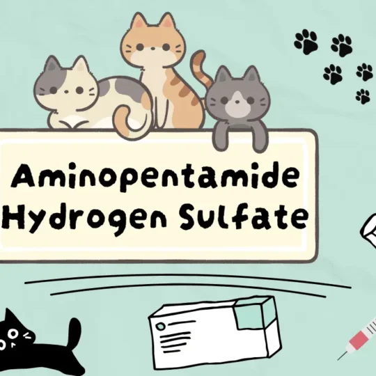 دواء لعلاج اضطرابات الهضم عند القطط