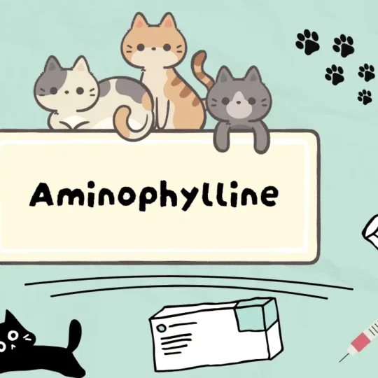 الأمينوفيلين للقطط
