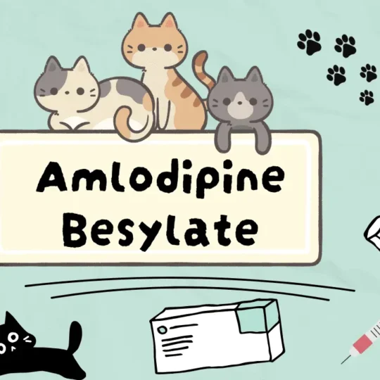 دواء لعلاج ارتفاع ضغط الدم عند القطط