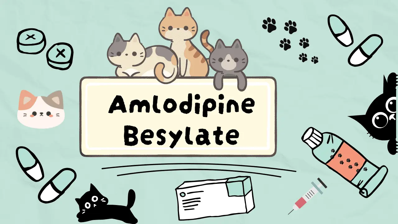 دواء لعلاج ارتفاع ضغط الدم عند القطط