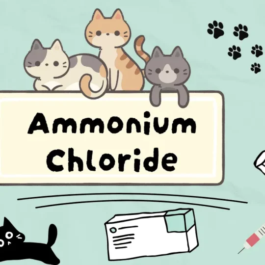 دواء لعلاج الحصى البولية عند القطط