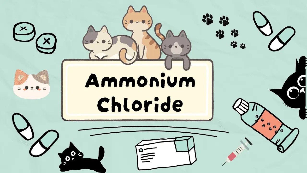 دواء لعلاج الحصى البولية عند القطط