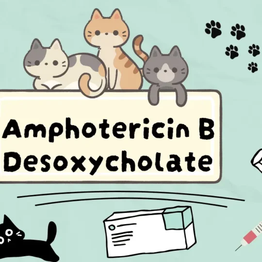 دواء لعلاج فطريات القطط