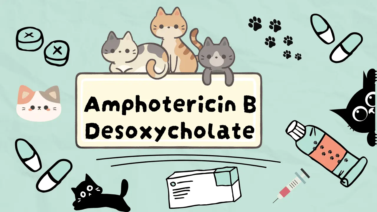 دواء لعلاج فطريات القطط