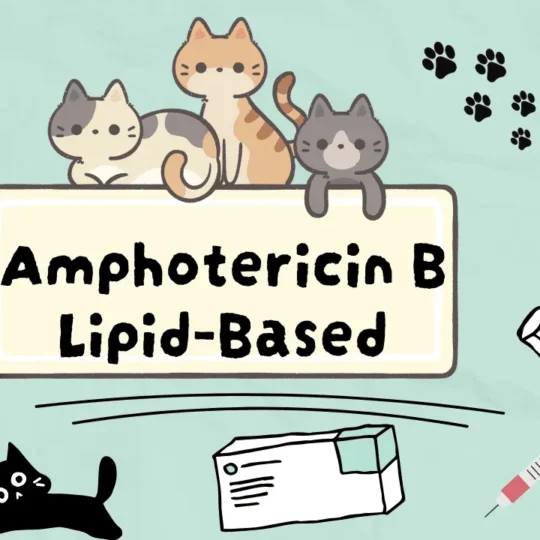 دواء آمن لعلاج فطريات القطط